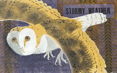 Fry Sale – this weekend!