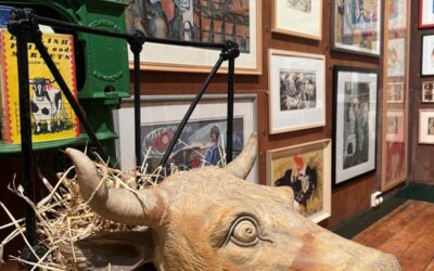 One day event: Still Life with Chloë Cheese