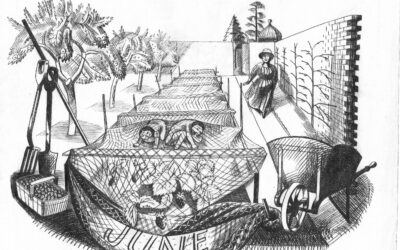 Work of the Month: June by Edward Bawden